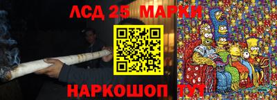 шишки Донской