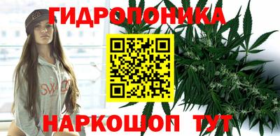 шишки Донской