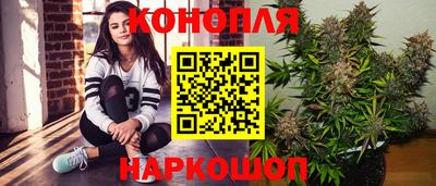 шишки Донской