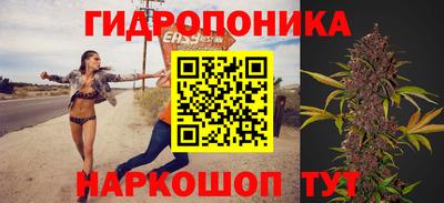 Альфа ПВП Дубна