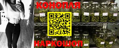 шишки Донской